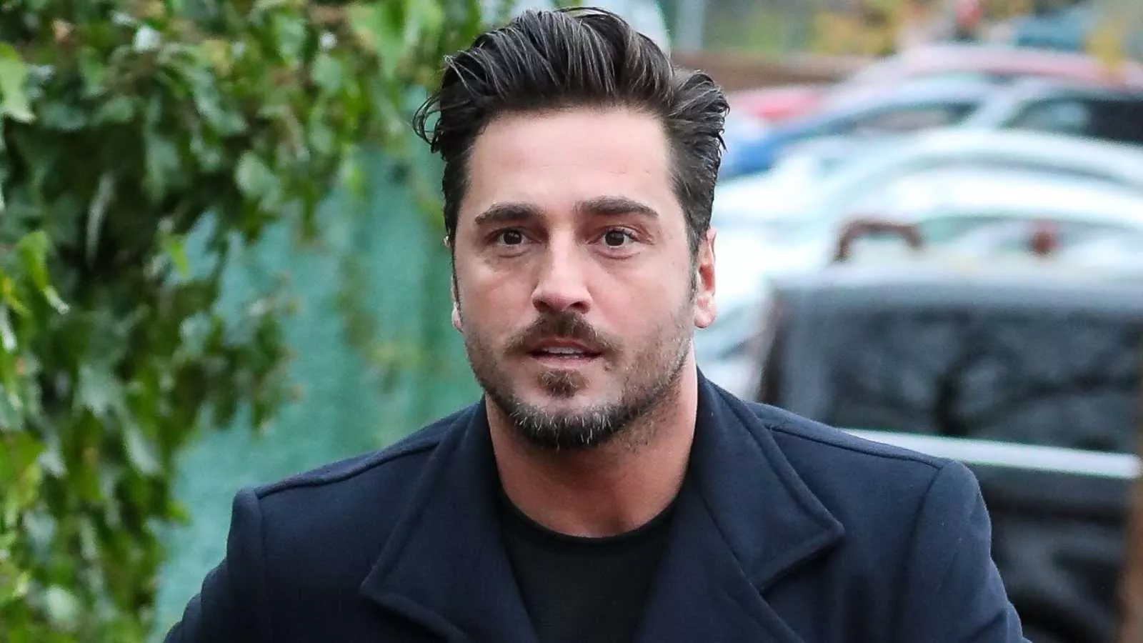 David Bustamante