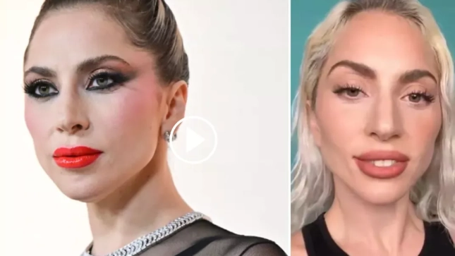 Lady Gaga Lady Gaga