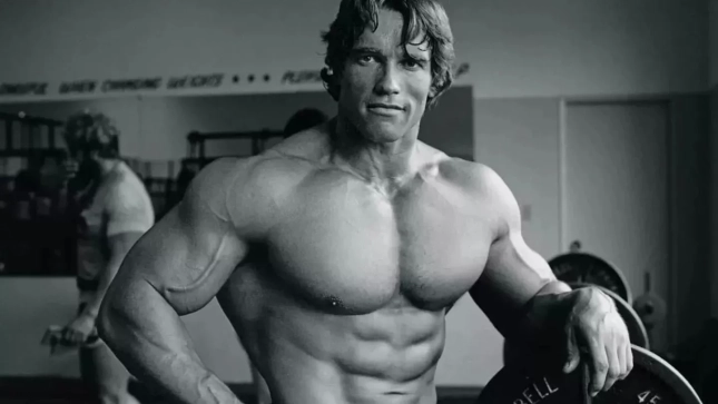 Arnold Schwarzenegger Arnold Schwarzenegger