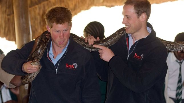 Harry y William en Botswana con una boa Harry y William en Botswana con una boa