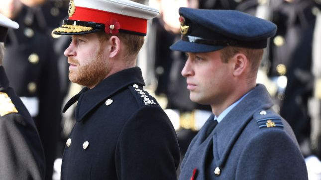 El príncipe Harry y su hermano Guillermo/ GTRES